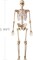 Halloween Decorations Skeleton, 2.95 FT Life Size Posable Skeleton, 36" Plastic Full Body Skeleton, Large Skeletons for Halloween Outdoor Indoor Party Decor Haunted House Graveyard Yard